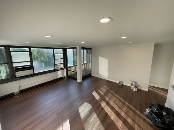 Bright & Elegant Living Room Renovation